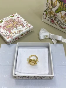 (image for) Dior Medaillon Gold Metal Earrings