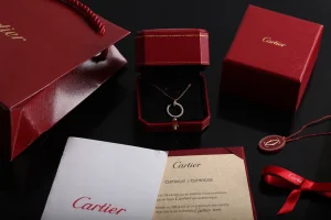 Luxury Womens Jewelry Cartier Diamonds Juste UN Clou Necklace A205PP260 AA146888