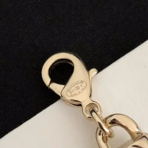 Luxury Womens Jewelry Chanel Necklace Chanel CC Chain Necklace A39PP165 AA159885