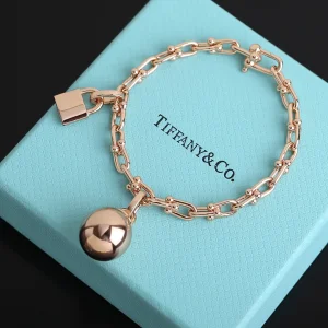 Luxury Womens Jewelry Tiffany HardWear City Wrap Link Bracelet A205PP240 AA163971