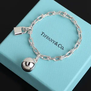 Luxury Womens Jewelry Tiffany HardWear City Wrap Link Bracelet A205PP240 AA163971