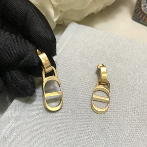 Luxury Womens Jewelry Dior Earring Dior Petit CD Gold Earrings A152PP100 AA164878