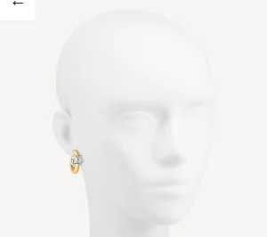 Luxury Womens Jewelry Louis Vuitton Earring LV My LV Earrings A152PP130 AA171974