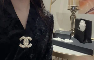 Essenceofluxury Womens Jewelry Chanel Studded Diamonds CC Logo Brooch A173PP180 AA193782