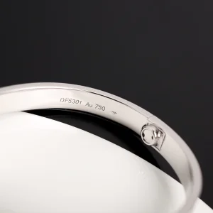 Cartier Love Bangle Bracelets