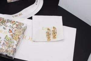 Dior Gold D Backstage Earrings