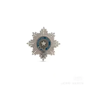 Dior Buffalo Star Brooch Silver