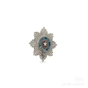 Dior Buffalo Star Brooch Silver