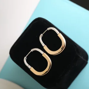 Tiffany Lock Diamonds Earrings